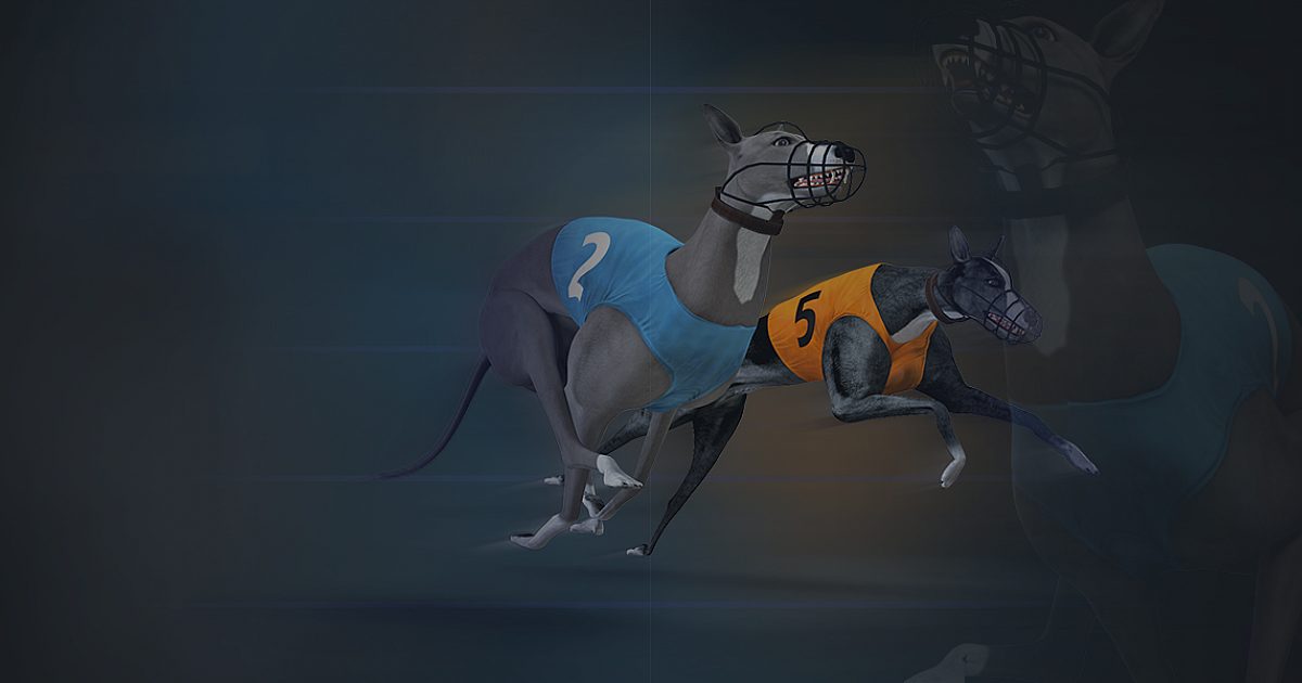 NSoft Virtual Dog Racing Packed with NonStop Action